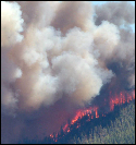 Moderate to heavy smoke impacts possible