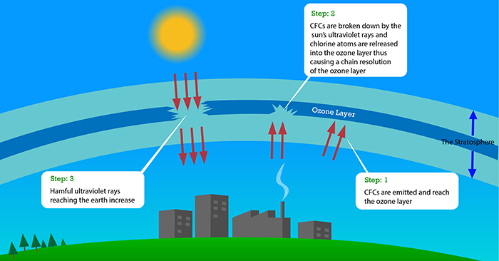 illustration of the ozone cycle 